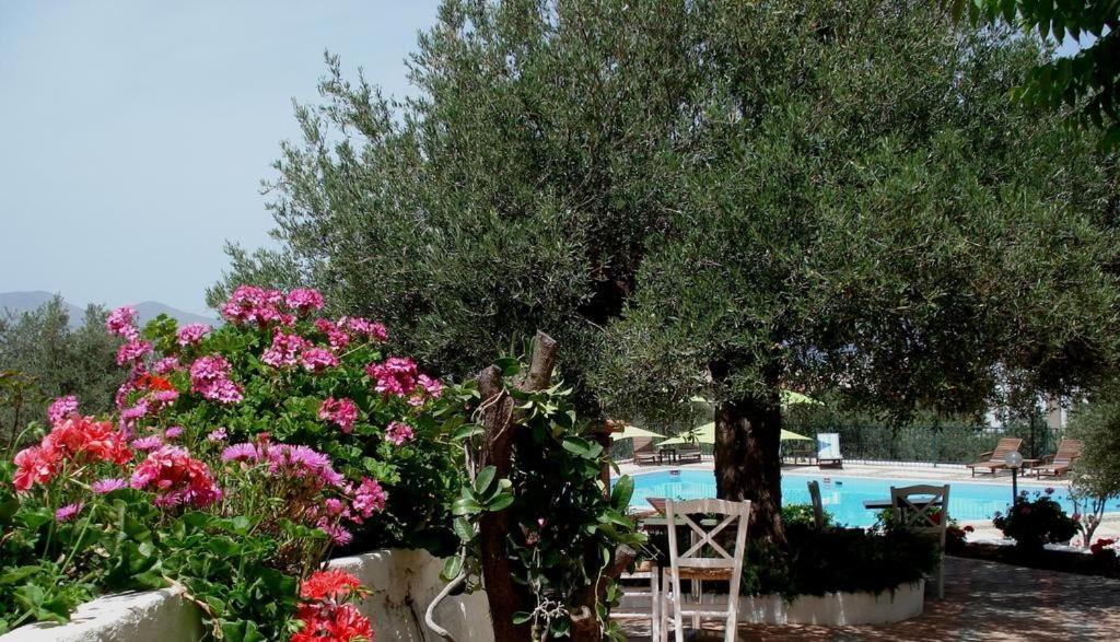 Amoudara  Katerina Charming Place المظهر الخارجي الصورة