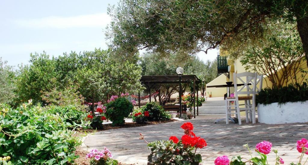 Amoudara  Katerina Charming Place المظهر الخارجي الصورة