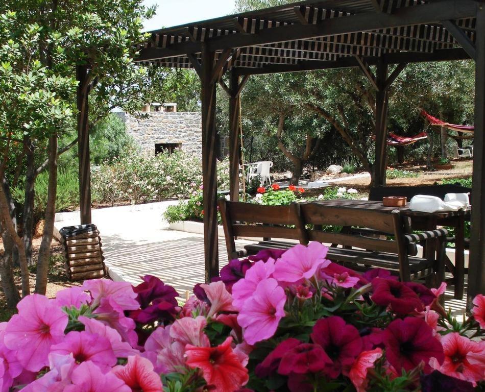 Amoudara  Katerina Charming Place المظهر الخارجي الصورة