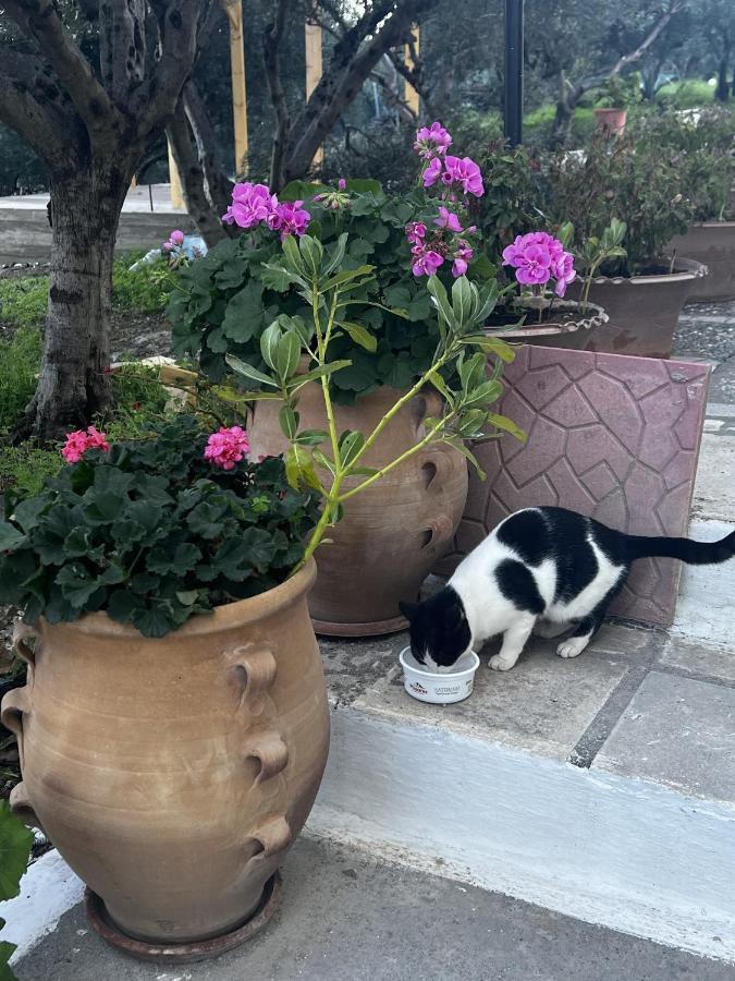 Amoudara  Katerina Charming Place المظهر الخارجي الصورة